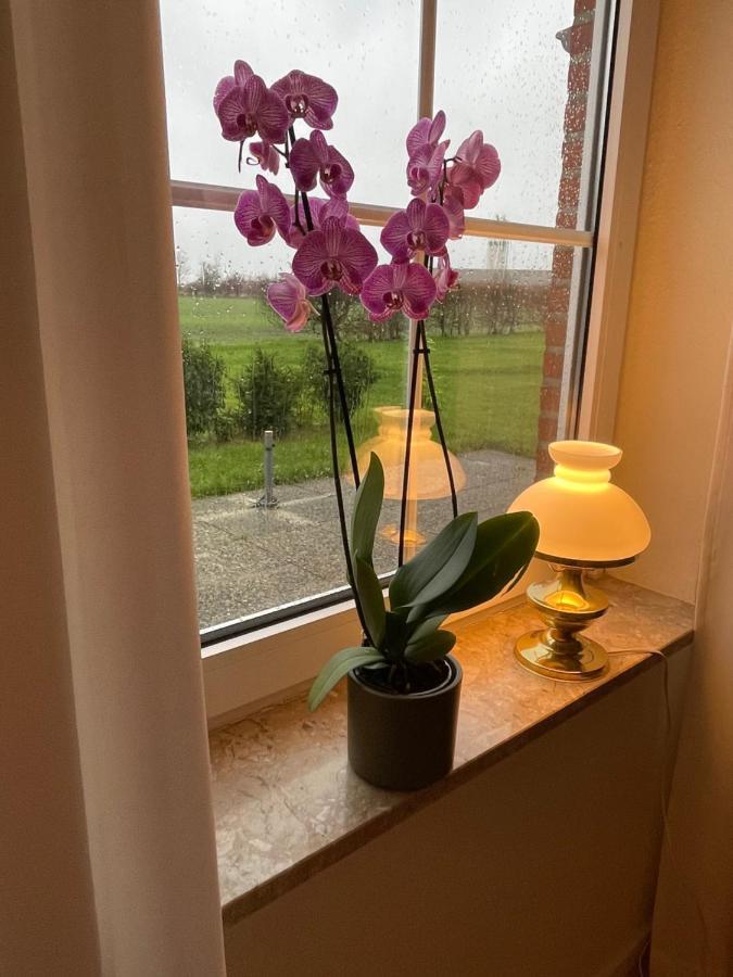 Meine Ferienwohnung Fehmarn Buitenkant foto